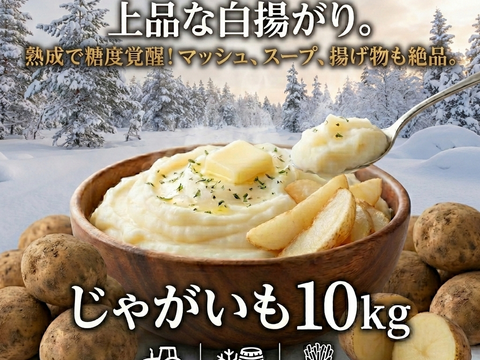《激推し！フライドポテトやポテサラに！》愛され食され40年『雪夏稚くん』の熟成ヘルシーポテトver. 10kg