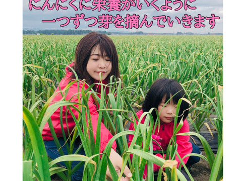 テレビで紹介された生にんにく10玉🧄青森にんにくの王様白玉王👑【月1000箱売れてます】