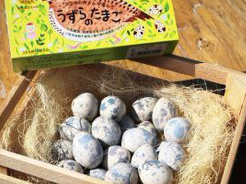【プレゼントにもぴったり！】うずらぼっくす　命のカプセル ギフトパック〔うずら生卵・うずら燻製玉子2種・殻割ハサミ〕