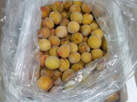 （訳アリ）冷凍梅(シロップ用)4kg