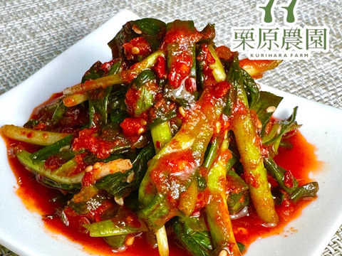 【夜市限定】リニューアルしました！小ネギ農家のネギキムチ 500g 手作りうま味調味料無添加ご飯のおかず、お酒のおつまみに！焼肉、卵かけご飯、納豆にとても合います！