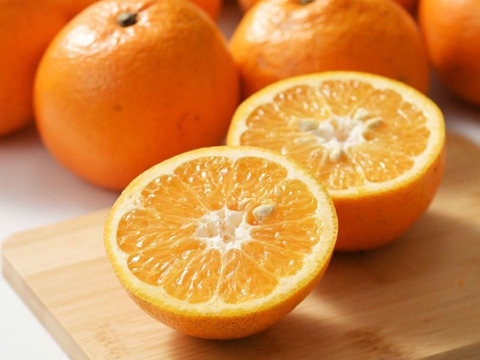 【自然栽培】宮内伊予柑  10㎏（約30-40個）今が旬！果汁たっぷり イヨカン いよかん 伊予柑