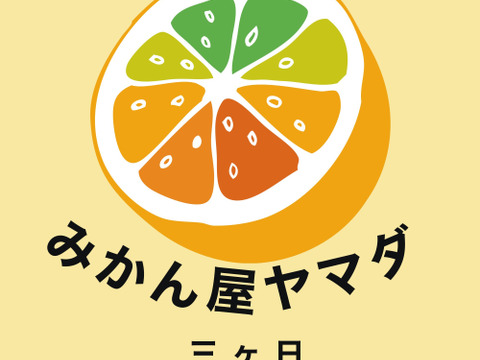 三ヶ日 青島みかん  プチブサ皮くん　約5㎏