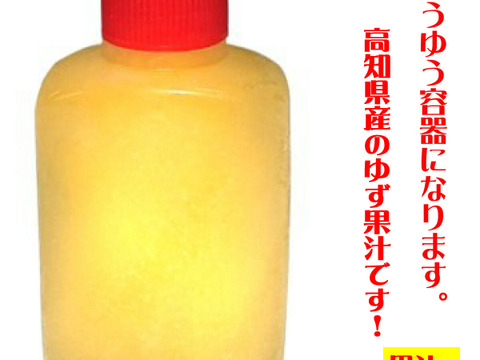 【冬ギフト】「未利用魚」超稀少！活〆ウチワエビ 500ｇ！大（3~5匹）瞬間冷凍！ゆず果汁付「熨斗対応可」　うちわ海老　たび海老　タビエビ　イセエビ　エビ　 お歳暮　年末