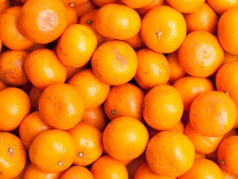 小玉！有田みかん 5kg【わけあり】