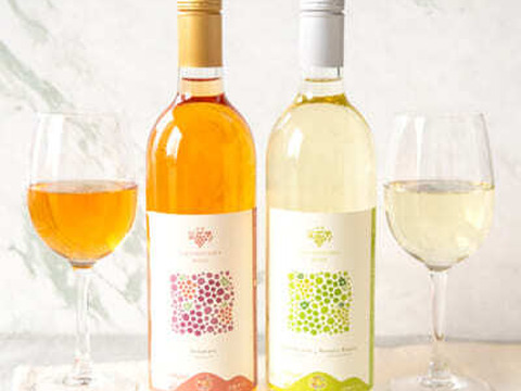 【夏ギフト】漆山果樹園ワイン2本セット★自家栽培デラウェアワインとシャインマスカット×ロザリオビアンコワインのセット「お中元熨斗対応可」