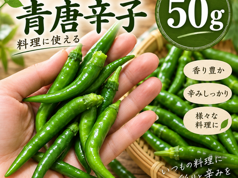 青唐辛子 50g 岡山県産：岡山県産の野菜｜食べチョク｜産地直送(産直