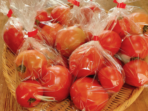 むらざと自然農園のトマト約4キロ　農薬化学肥料不使用　冷蔵便　岐阜県加茂郡白川町黒川　豊かな環境で太陽をいっぱい浴びて育った美味しいトマト♪