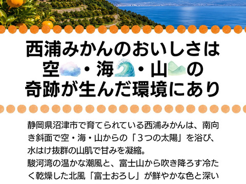 無添加 みかんジュース 寿太郎 100％ストレート 生搾りミカン 静岡県産 濃厚プレミアム 720ml×2本