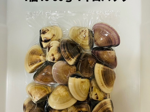 液体冷凍はまぐり　1個40-60 g（中）　   徳用1キロパック