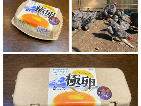 🉐青空飼育【富士の極卵】純国産鶏あずさ＆おうはん48個食べくらべ