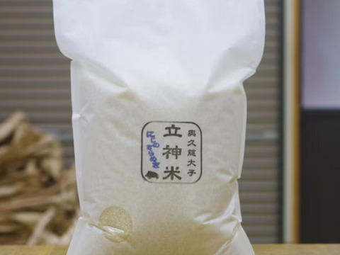 金賞受賞農家が作る家庭用米　【立神米にじのきらめき】　5キロ