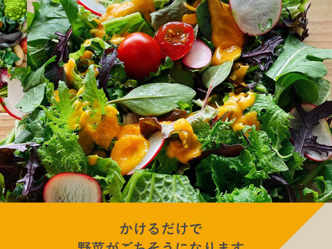 フェリチタ ラージセレクション（5本）