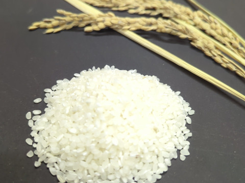 コシヒカリ 令和8年新米30キロ玄米直送：埼玉県産のお米｜食べチョク