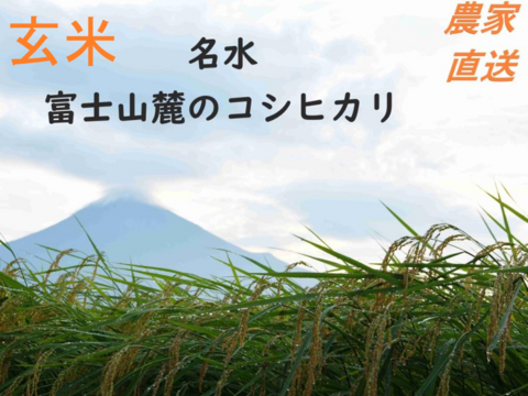 【新米】富山県産コシヒカリ100% 玄米10キロ 一等米令和6年温度管理送料込 imgrc0187012197.jpg