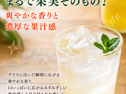 モンドセレクション金賞受賞 土佐文旦8玉分使用 土佐文旦シロップ 360ml