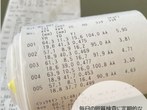 黄身と鮮度のこだわり卵！宮たま(橙)×40個