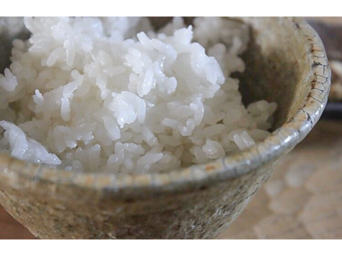 【農薬不使用】想いを込めた"幻"のお米 ササシグレ【10kg玄米】