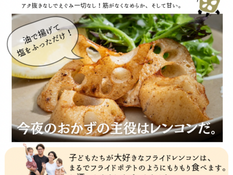 【冬ギフト】野菜ソムリエサミット最高金賞受賞🏅甘くてなめらか！【レンコン】500g×2p