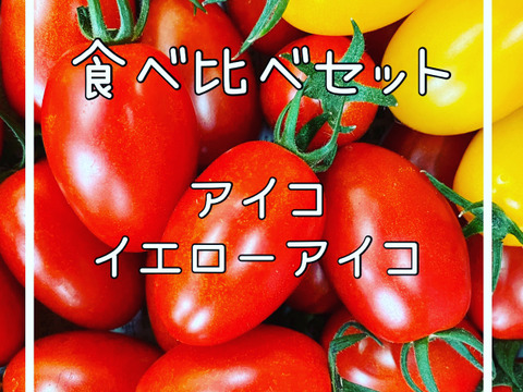 アイコ➕イエローアイコ‼️【甘みと酸味のバランス最高‼️】彩り鮮やか❗️