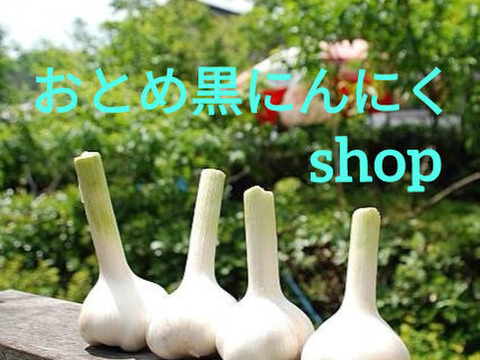 ☆訳あり 熊本産☆ おとめ黒にんにく700㌘ (農薬･化学肥料不使用) ◇生にんにくオマケ付き◇ 黒ニンニク ニンニク 黒にんにく にんにく