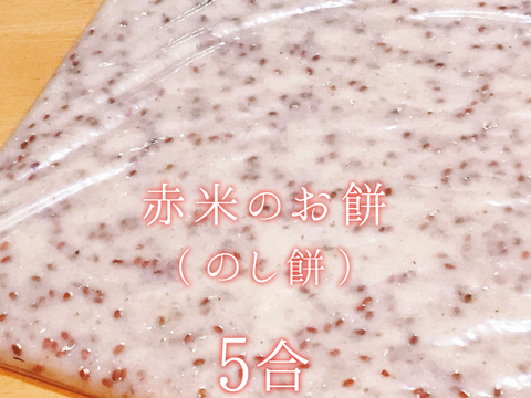 《年末予約》赤米もち5合【天日干し・無肥料・栽培期間中農薬不使用のお米】