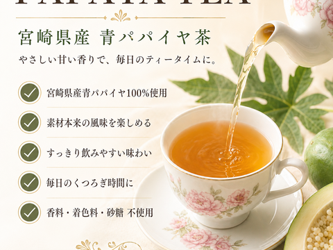 パパイア王子 宮崎グリーンパパイアティー ティーバッグ7個入り 酵素 美容茶 青パパイヤ茶 スーパーフード パパイン酵素 日本産 ポリフェノール パパイヤ