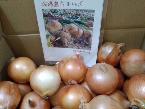 【Mサイズ5kg】淡路島たまねぎ 兵庫認証食品 ひょうご安心ブランド 特別栽培 あさひサンファーム ご家庭用 贈答用 南あわじ市 淡路島産たまねぎ レシピ付き！