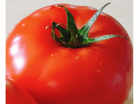 【食べやすい2kg箱】旨みと優しい甘みがギュッの桃太郎