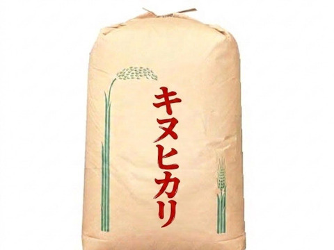 大特価品 令和7年 淡路島産キヌヒカリ 玄米30キロ：兵庫県産のお米