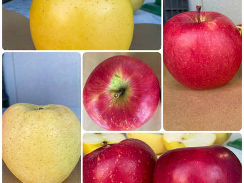 りんごセレクト５種 （B品2㎏）