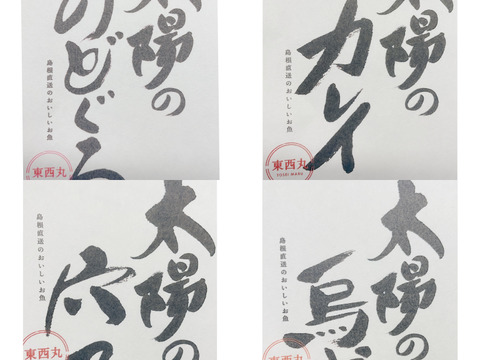 【太陽の一夜干し】4種セット