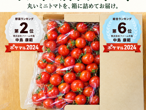 おのんとまと。甘味と酸味が絶妙バランス✨（800g）
