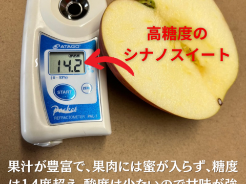 【まるで採れたて】シナノスイート 訳あり 10kg りんご 甘い  ご家庭用  果物 フルーツ お中元 ギフト リンゴ アップル   おやつ 子供のおやつ 貯蔵りんご 父の日 まるで採れたて