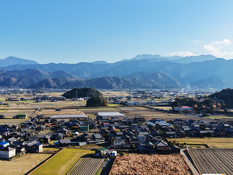 皮ごと茹でて✨美味しい ✨小ぶりな里芋1kg(セレベス:赤目芋)｜農家直送✅｜家庭用🎁❗️
