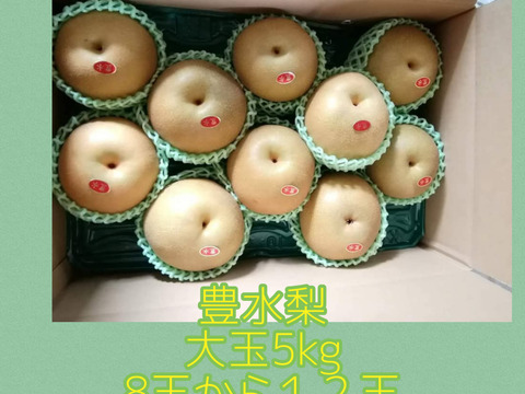 豊水梨　5㌔　
500グラム前後の大きな梨
8〜12個
みずみずしくて　甘い
果汁たっぷり
朝収穫してすぐに発送致します