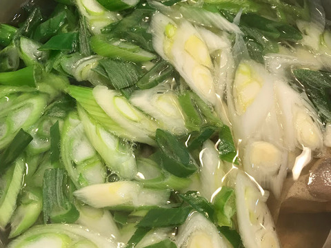 【自然栽培】自家採種一本ネギ1kg