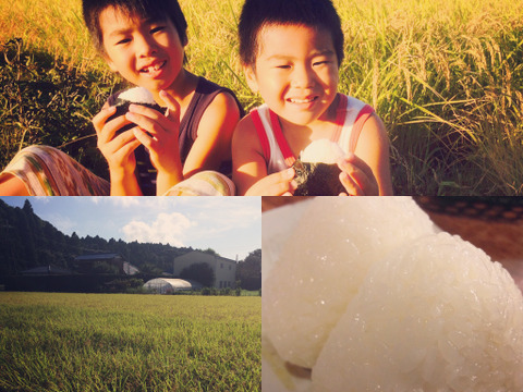 ✳︎新米✳︎令和7年度産★季節の野菜プレゼント付★【白米3キロ】クラフト袋入　　ふっくら・もちもち✴︎冷めても美味しい〜　【深田のお米】千葉県産コシヒカリ