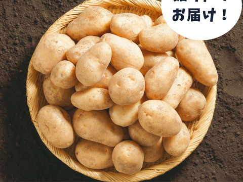 【新じゃが箱込2ｋｇ】じゃがバター最強★掘りたてメークイン（本州の方限定）