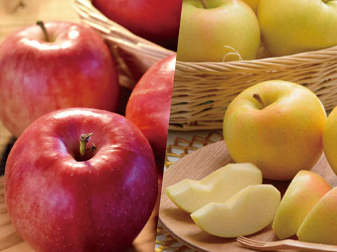 【冬ギフト】青森県産 約５キロ×２箱 季節の樹上完熟りんご詰め合わせセット【上実贈答用】