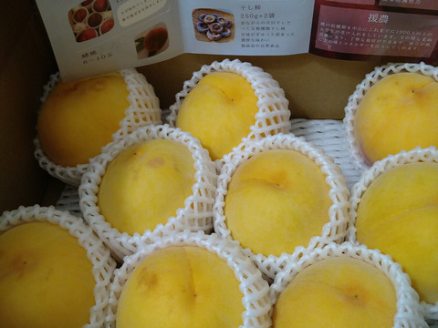そろそろ終わり！昨年大好評‼️【まるでマンゴー!?】ゴールデンピーチ!!３kg