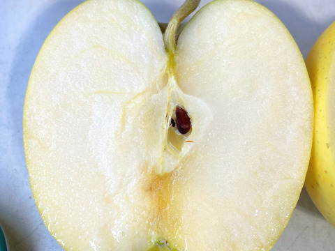 さっぱり系りんご シナノゴールド (B品りんご２㎏)