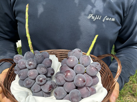 天空の実り！！岡山県産ニューピオーネ！2房（箱込み1k箱）※クール便※
