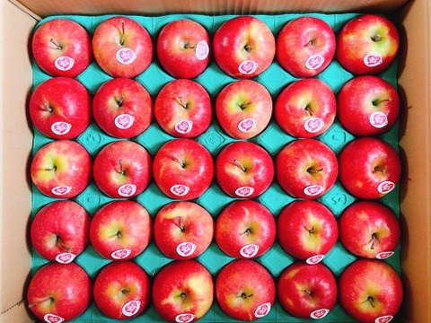 5キロ箱【極小サイズ】キュンとくる酸味！ピンクレディー®　スタンダード品【28個から30個】