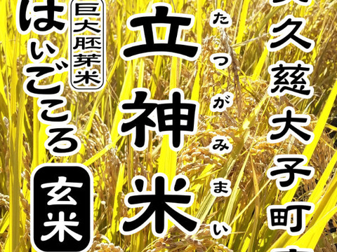 【特別栽培米・R5年産】立神米はいごころ【玄米・1.7キロ】
