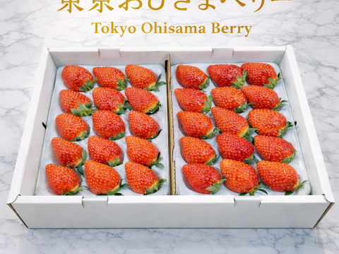 【おためしセール当店通常価格の25％OFF】「東京おひさまベリー」(9～20粒入り、約350g)×２パック 東京生まれのニューブランド ギフト 果物 プレゼント 贈り物 お礼品 御礼品 誕生日