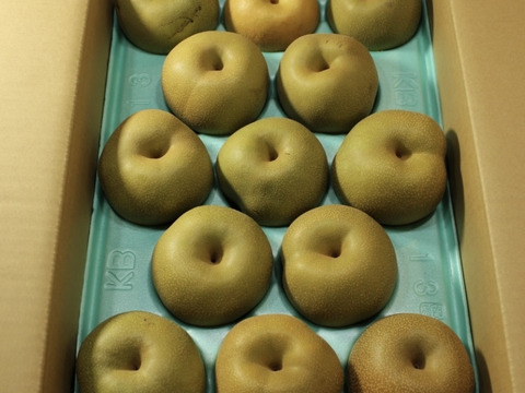 【訳あり】梨　幸水　5kg  長野県産