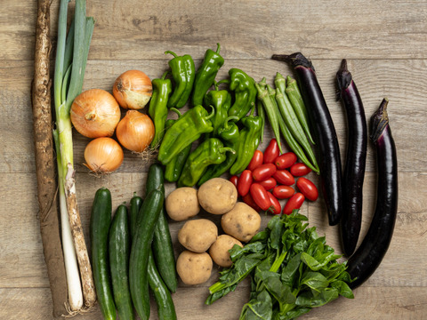 旬の野菜セット約8～10種類（農薬化学肥料不使用）