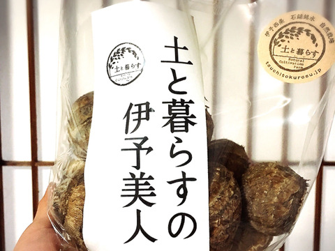 大地の恵み!!自然栽培圃場のさといも【8kg】こってり旨み*
