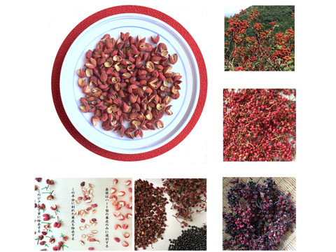 詰替５パック 完熟赤山椒 美山のルビー 美山産栽培期間中農薬不使用 京都府産の野菜 食べチョク 産地直送 産直 お取り寄せ通販 農家 漁師から旬の食材を直送